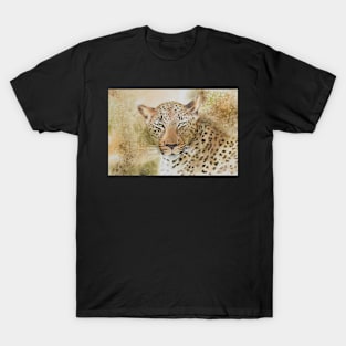 Leopards Gaze T-Shirt